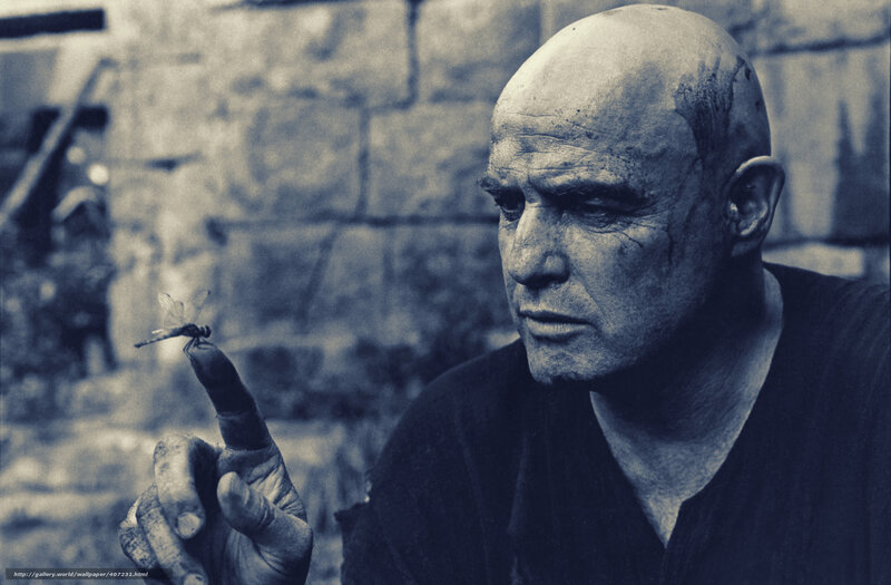 Bald Man with Dragonfly