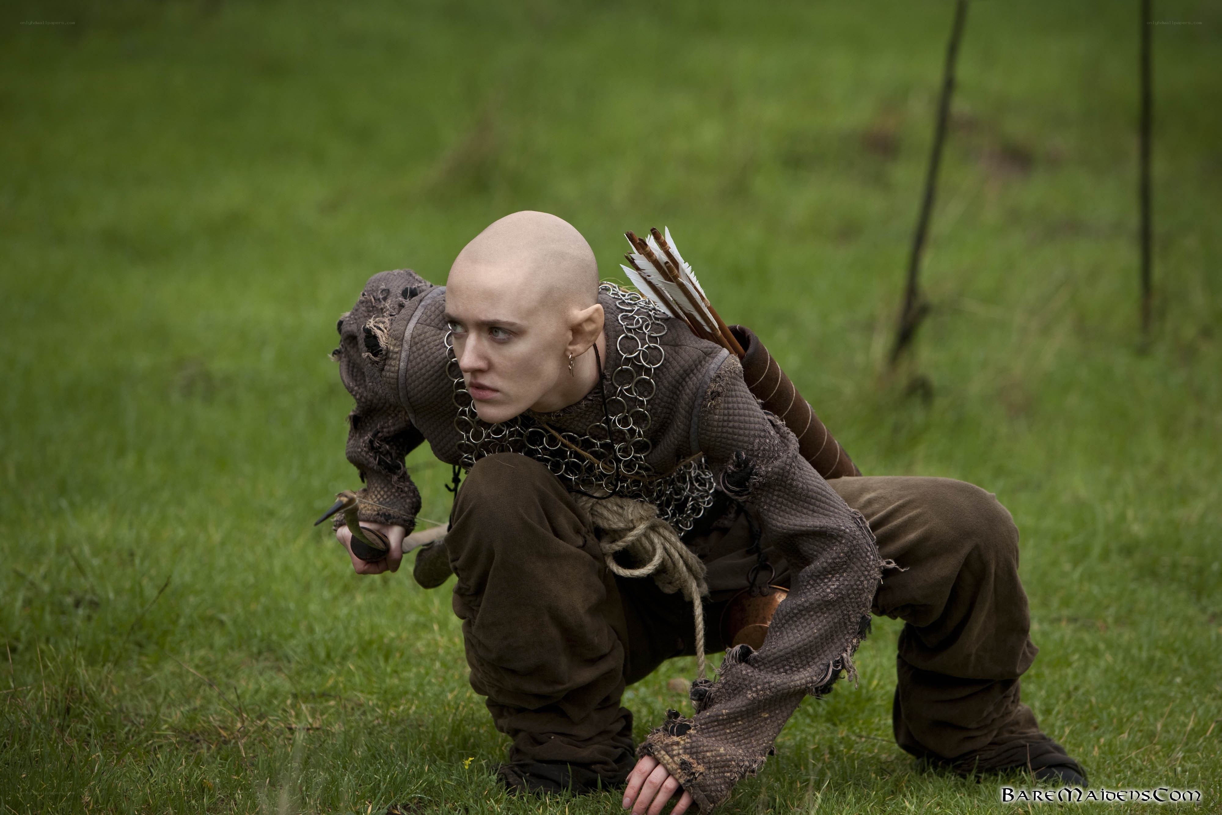 Bald warrior crouching in field