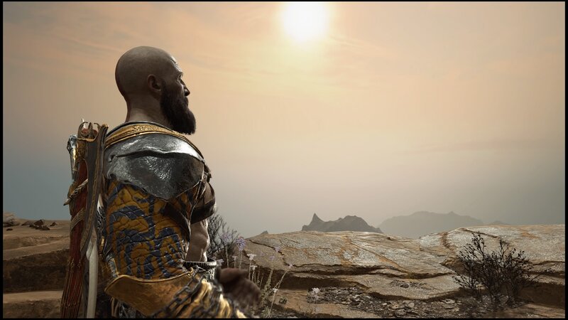 Bald Warrior with Beard — Brown, Serene