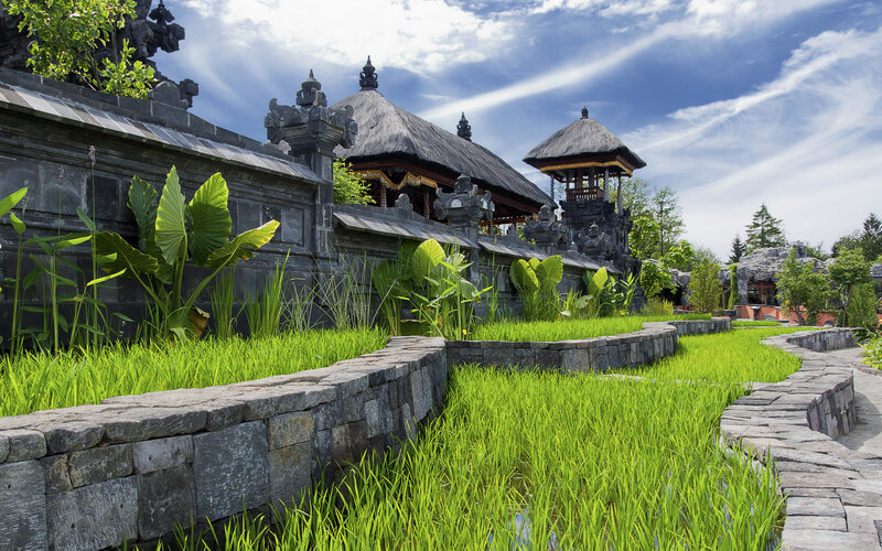 Bali temple with rice paddies