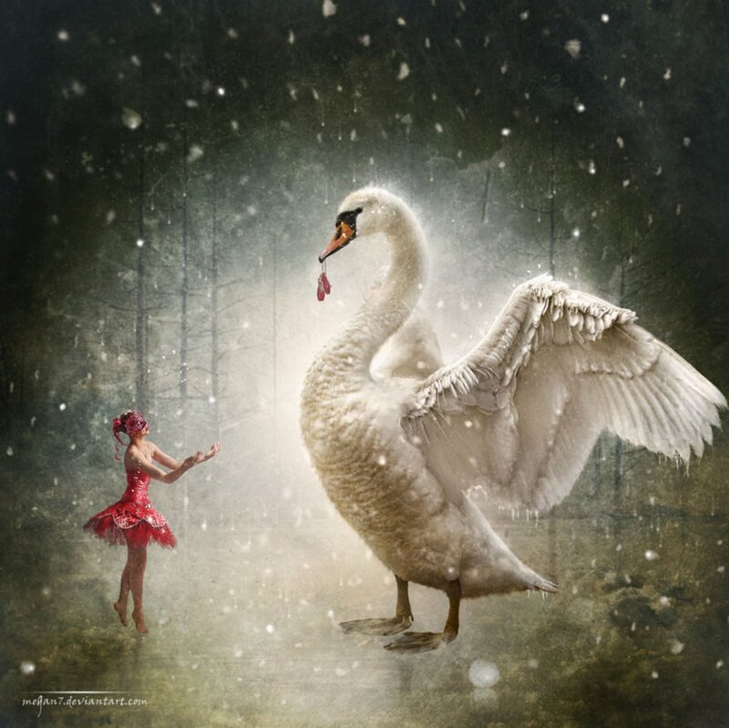 Ballerina and Swan