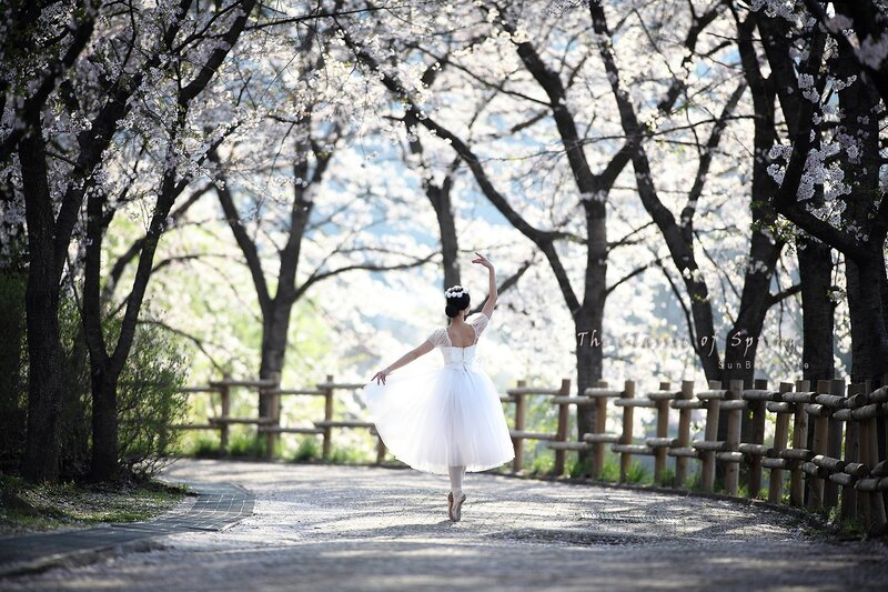 Ballerina in cherry blossom garden