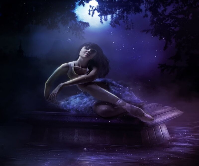 Ballerina in Moonlight