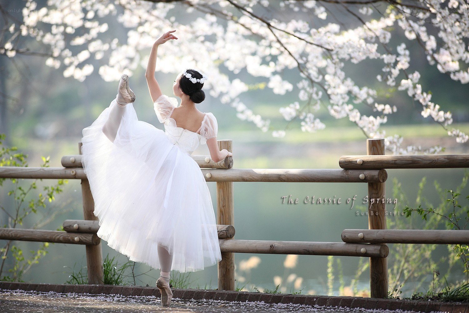 Ballerina in Spring