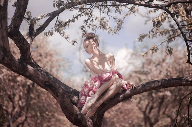Ballerina in Tree