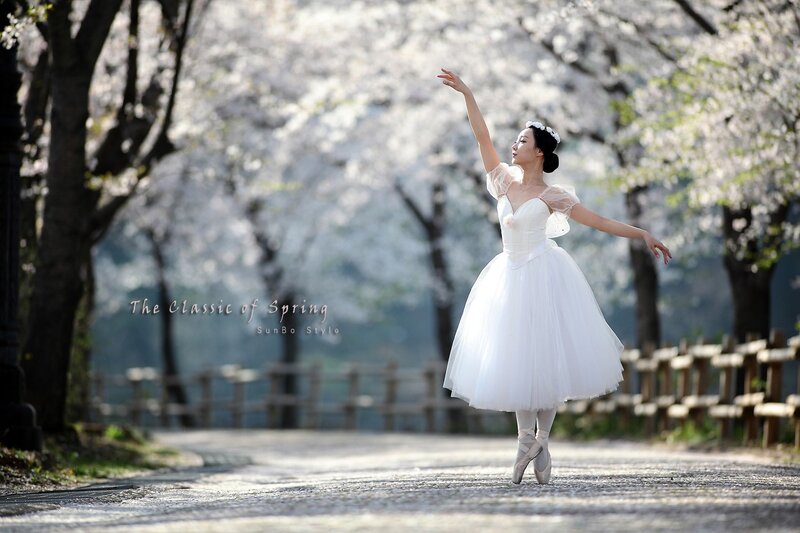 Ballerina in White Dress — Serene, Spring, Photograph, Cherry Blossoms, Path