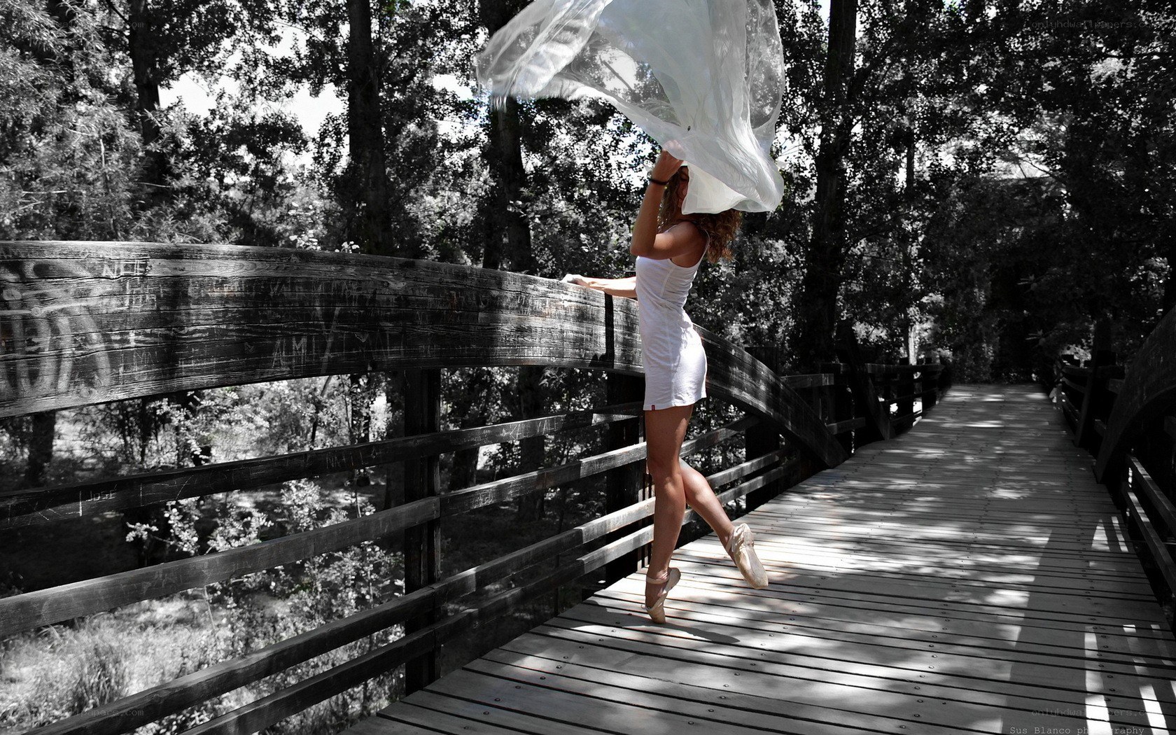Ballerina on a wooden bridge