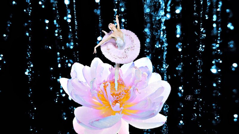 Ballerina on Flower — Pink