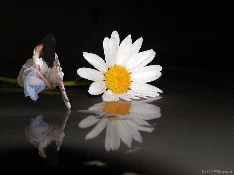 Ballerina with daisy flower