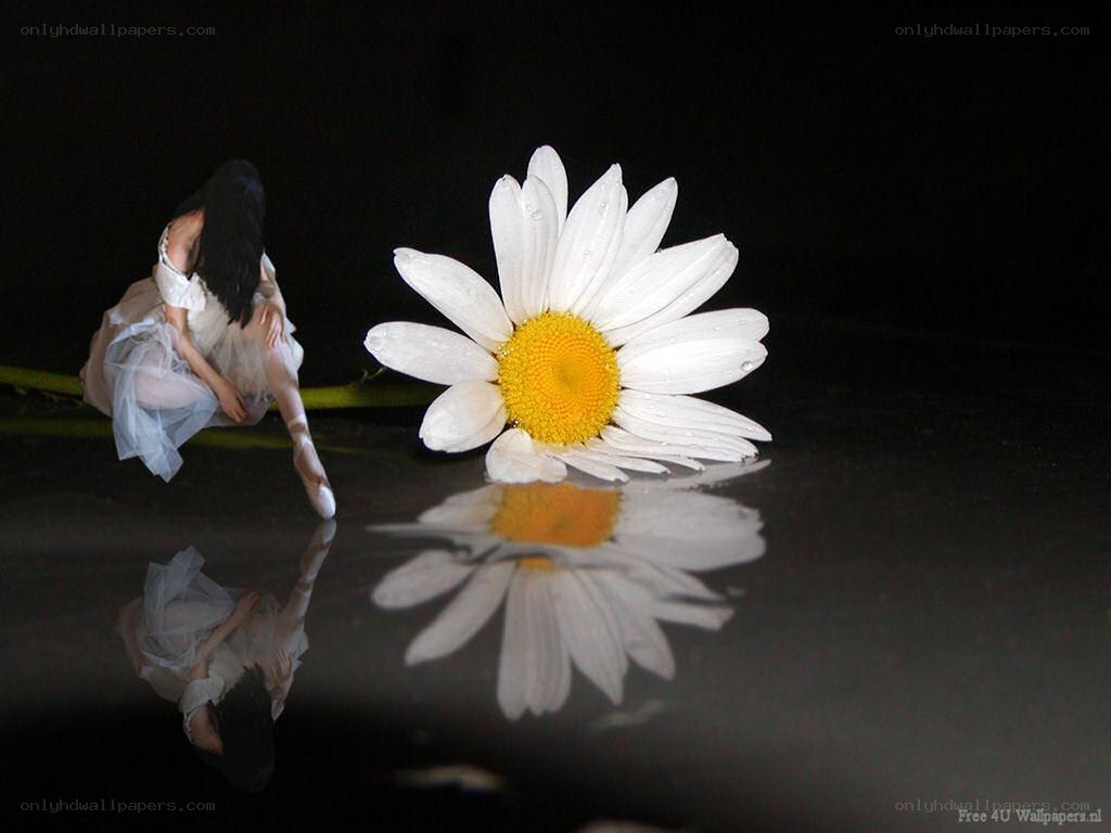 Ballerina with daisy flower