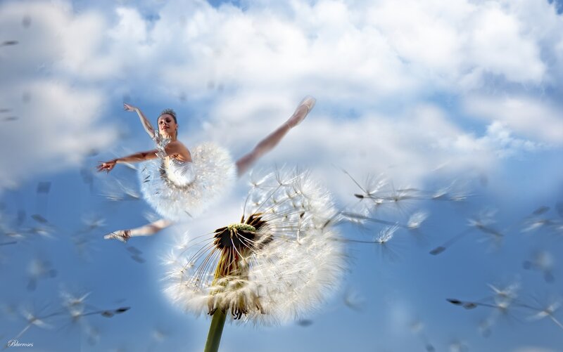 Ballerina with Dandelion