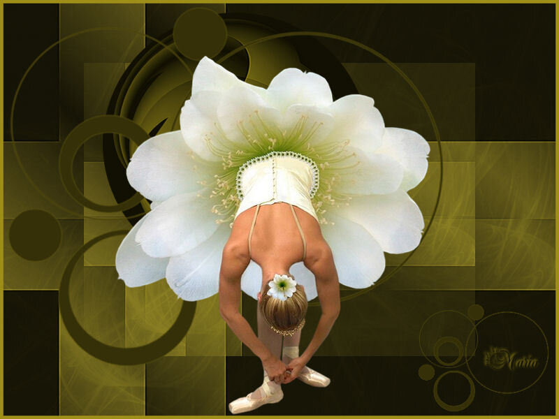 Ballerina with flower backdrop
