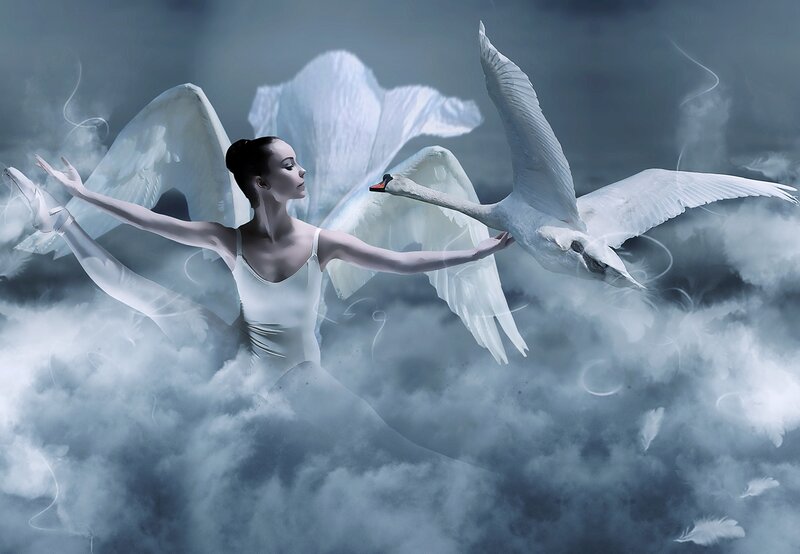 Ballerina with Swan