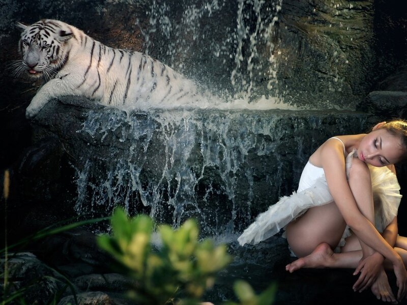 Ballerina with White Tiger — Serene, Photograph