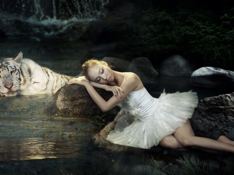 Ballerina with White Tiger — Serene
