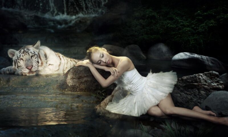 Ballerina with White Tiger