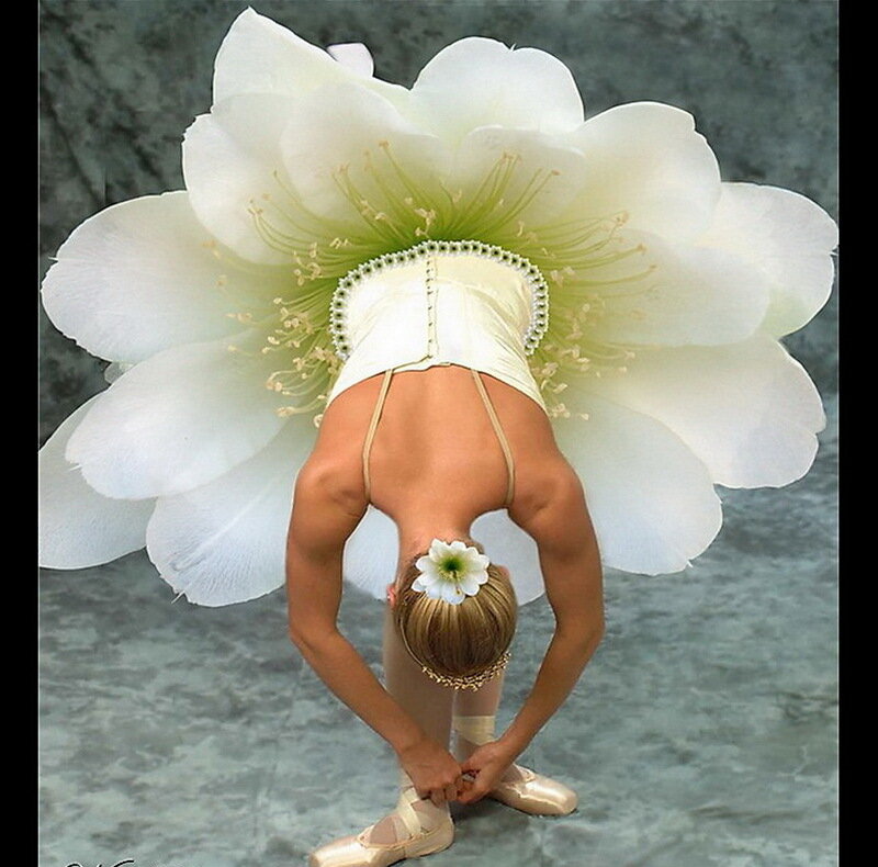 Ballet Dancer in Flower Costume