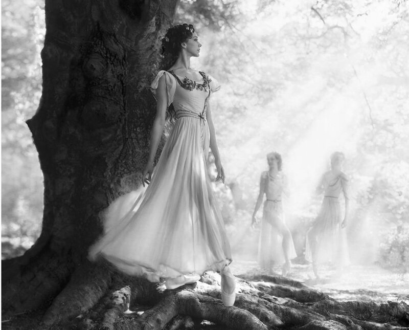 Ballet Dancer in Forest — Black