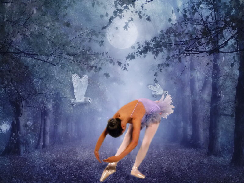 Ballet Dancer in Forest — Blue