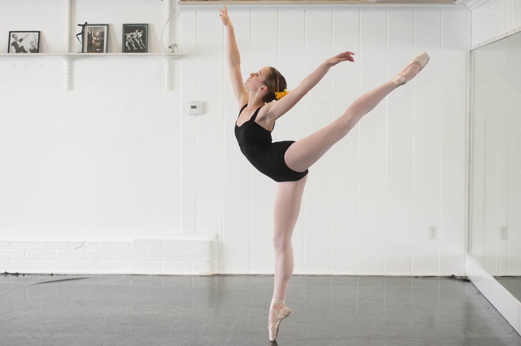 ballet dancer in pose