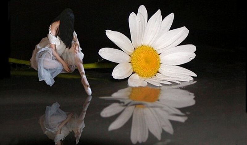Ballet Dancer with Daisy