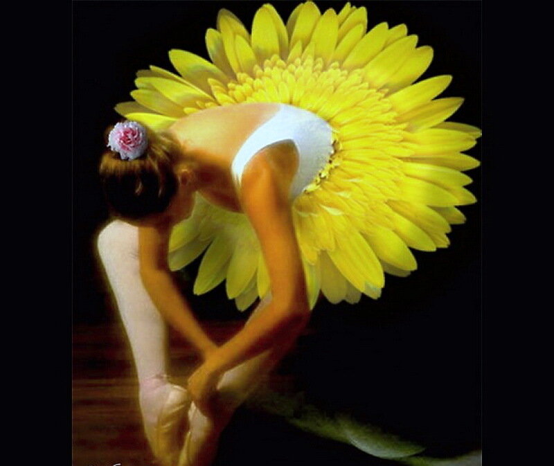 Ballet Dancer with Flower