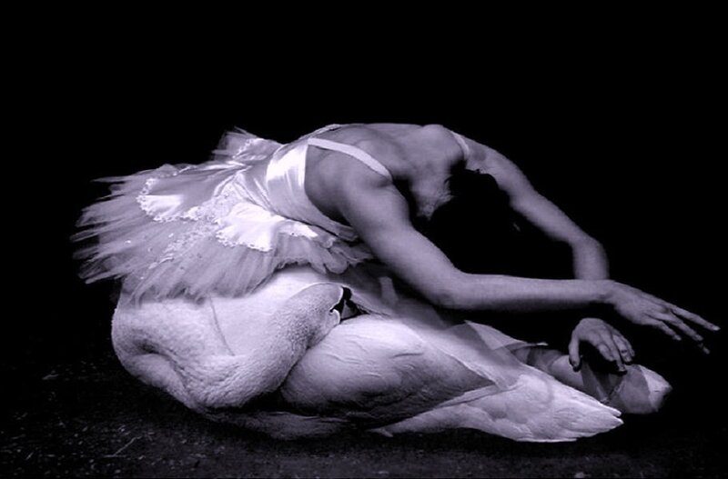 ballet dancer with swan