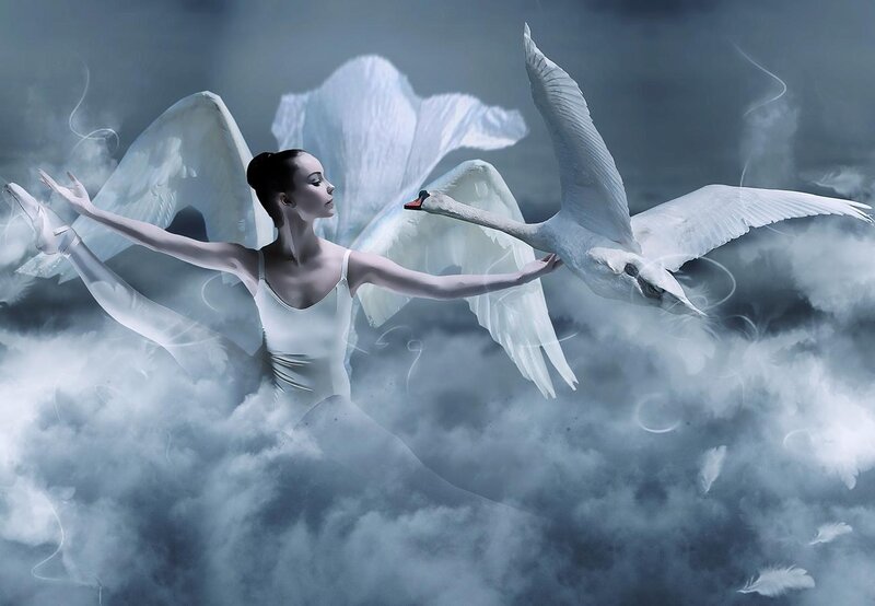 Ballet Dancer with Swan — White, Ethereal