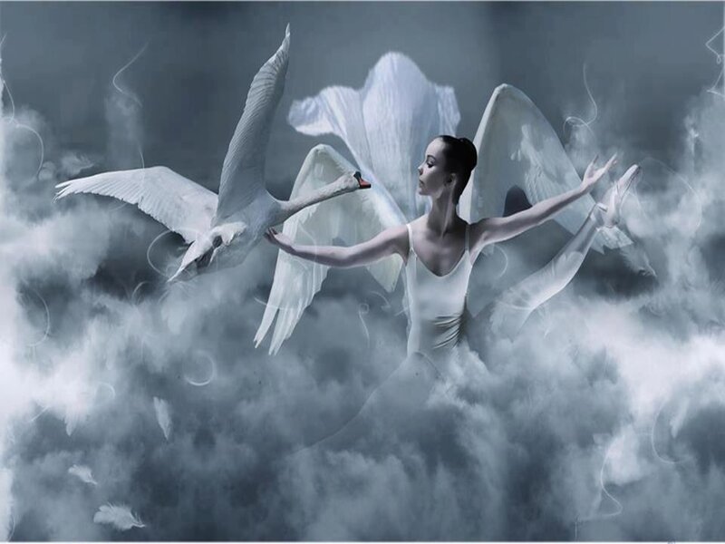 Ballet Dancer with Swan — White