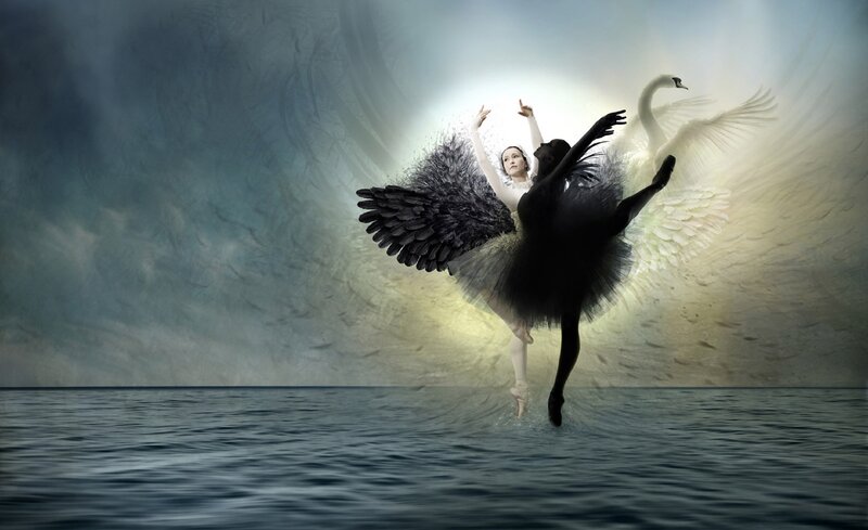 Ballet Dancer with Swan Wings