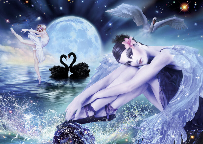 Ballet Dancers and Swans