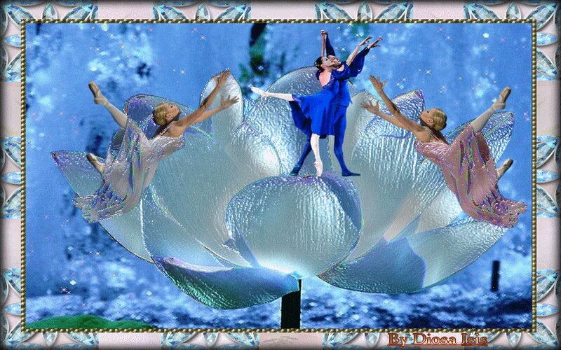 Ballet Dancers on Lotus