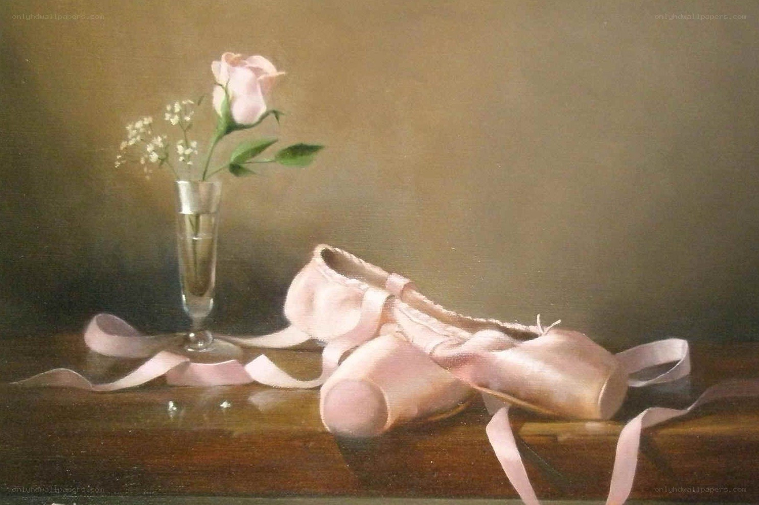 Ballet shoes and rose
