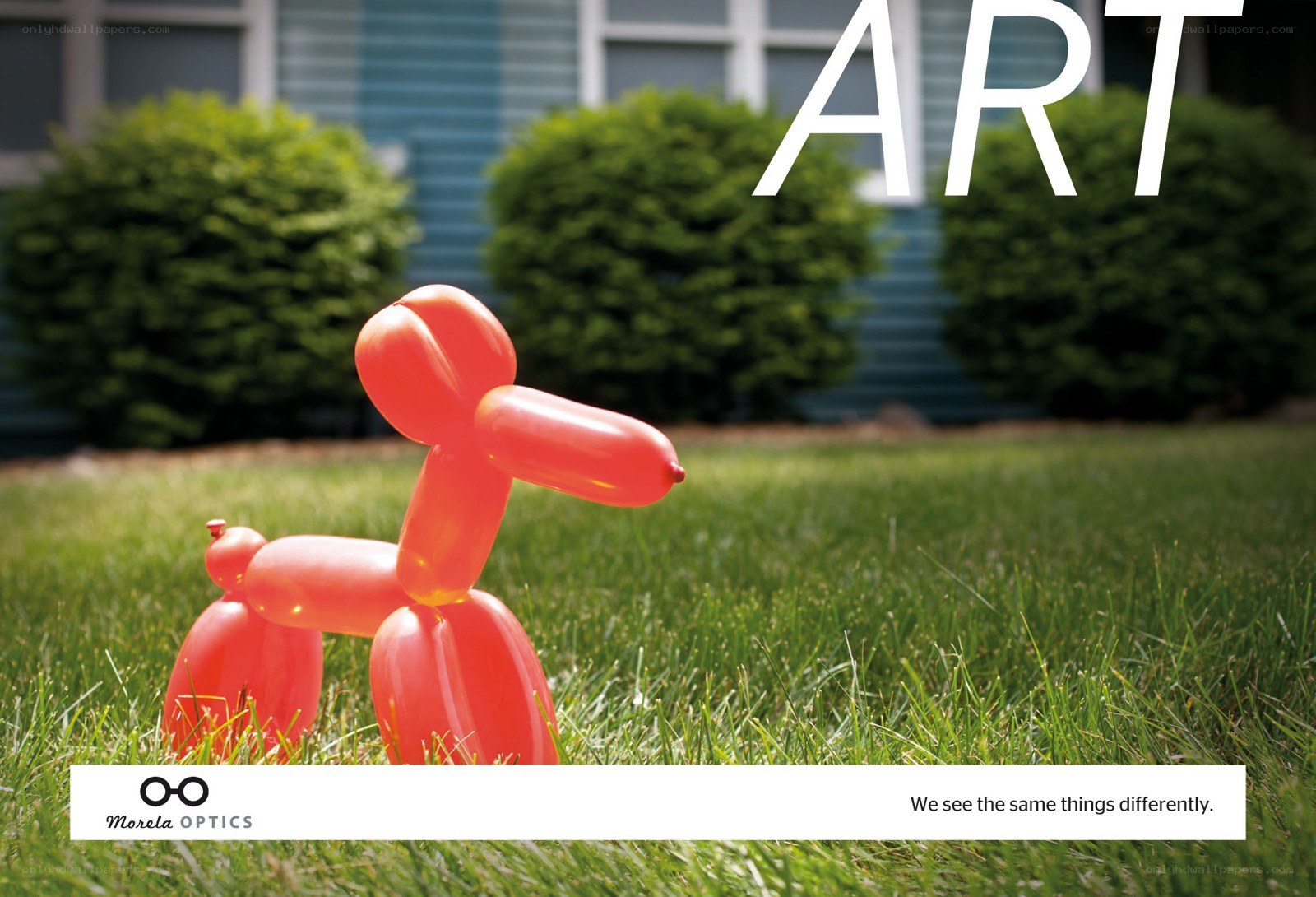 Balloon dog art on grass