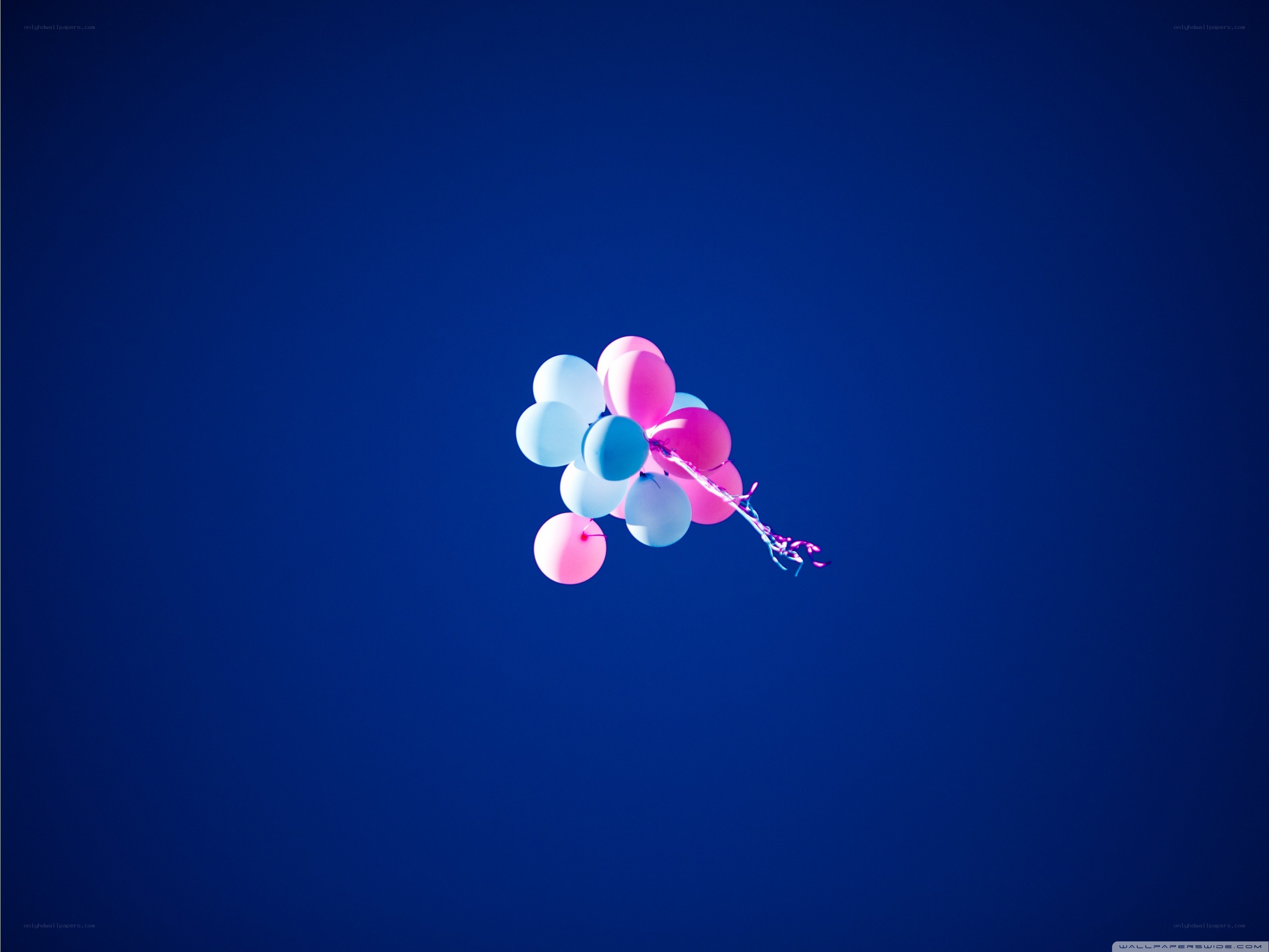Balloons floating in the sky