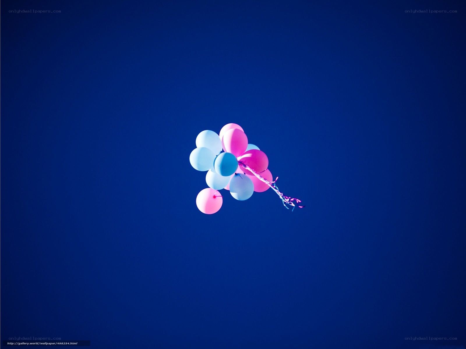Balloons floating in the sky