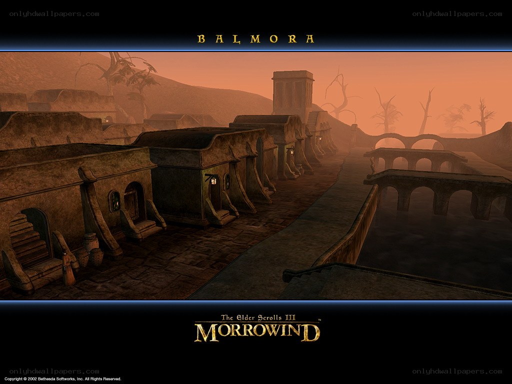 Balmora in Morrowind