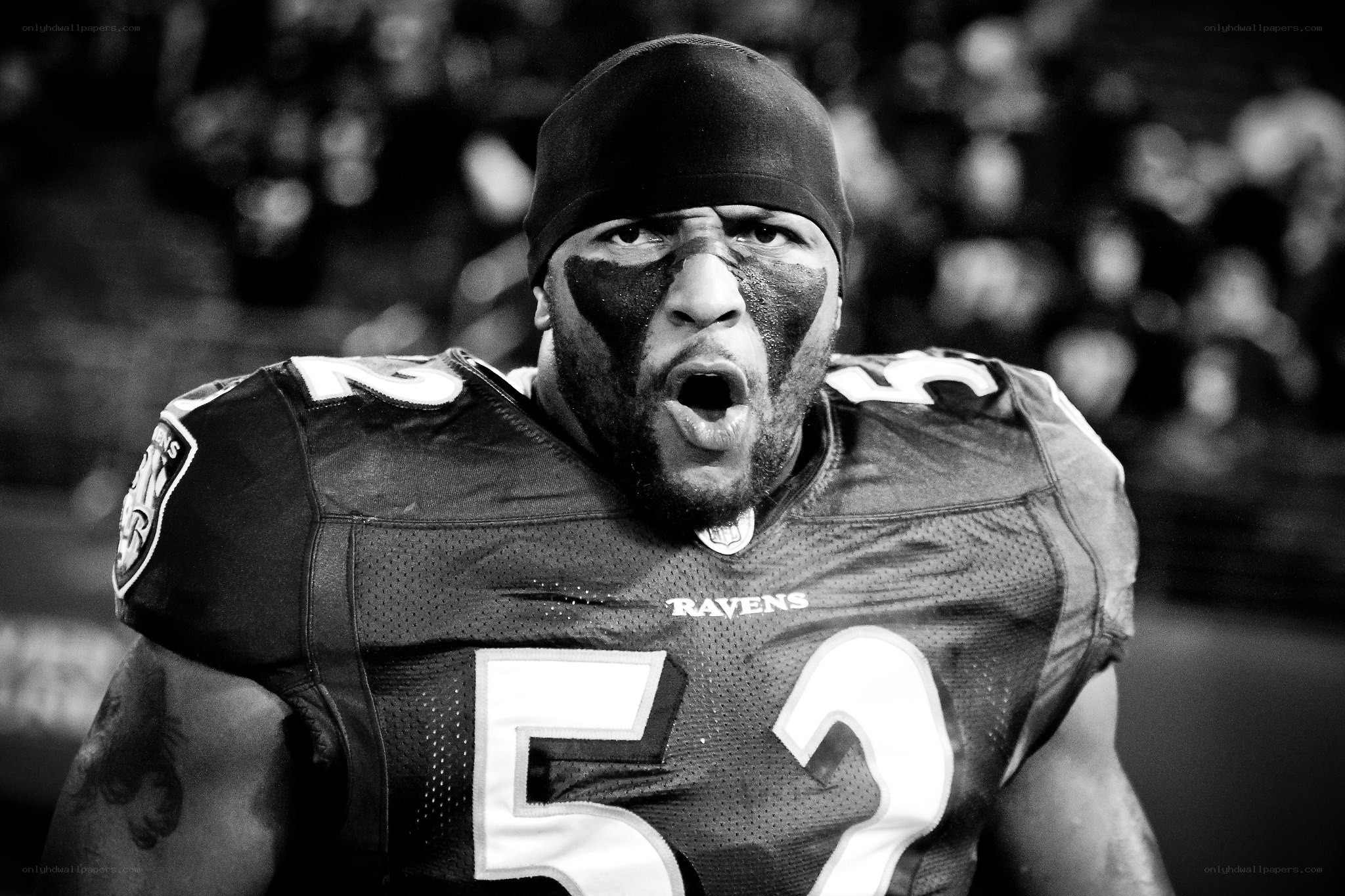 Baltimore Ravens player on field
