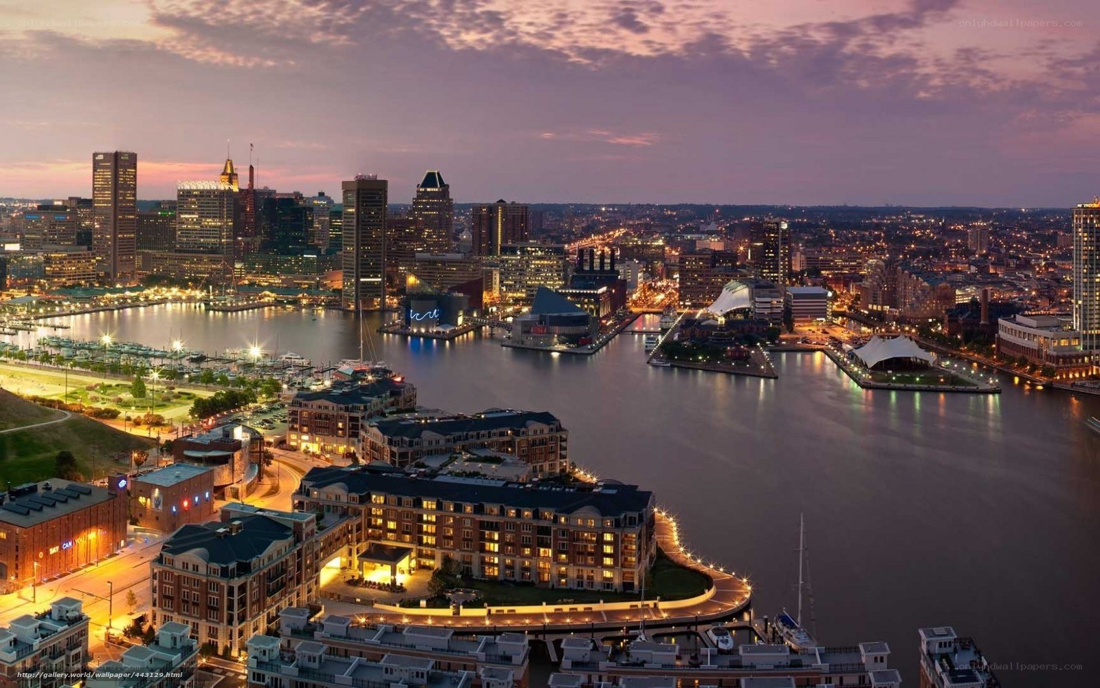 Baltimore skyline at dusk