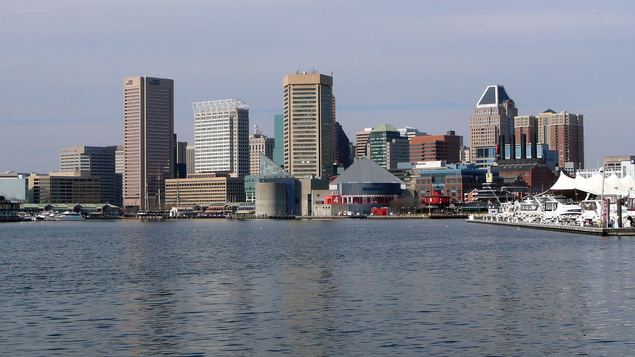 Baltimore skyline from the harbor