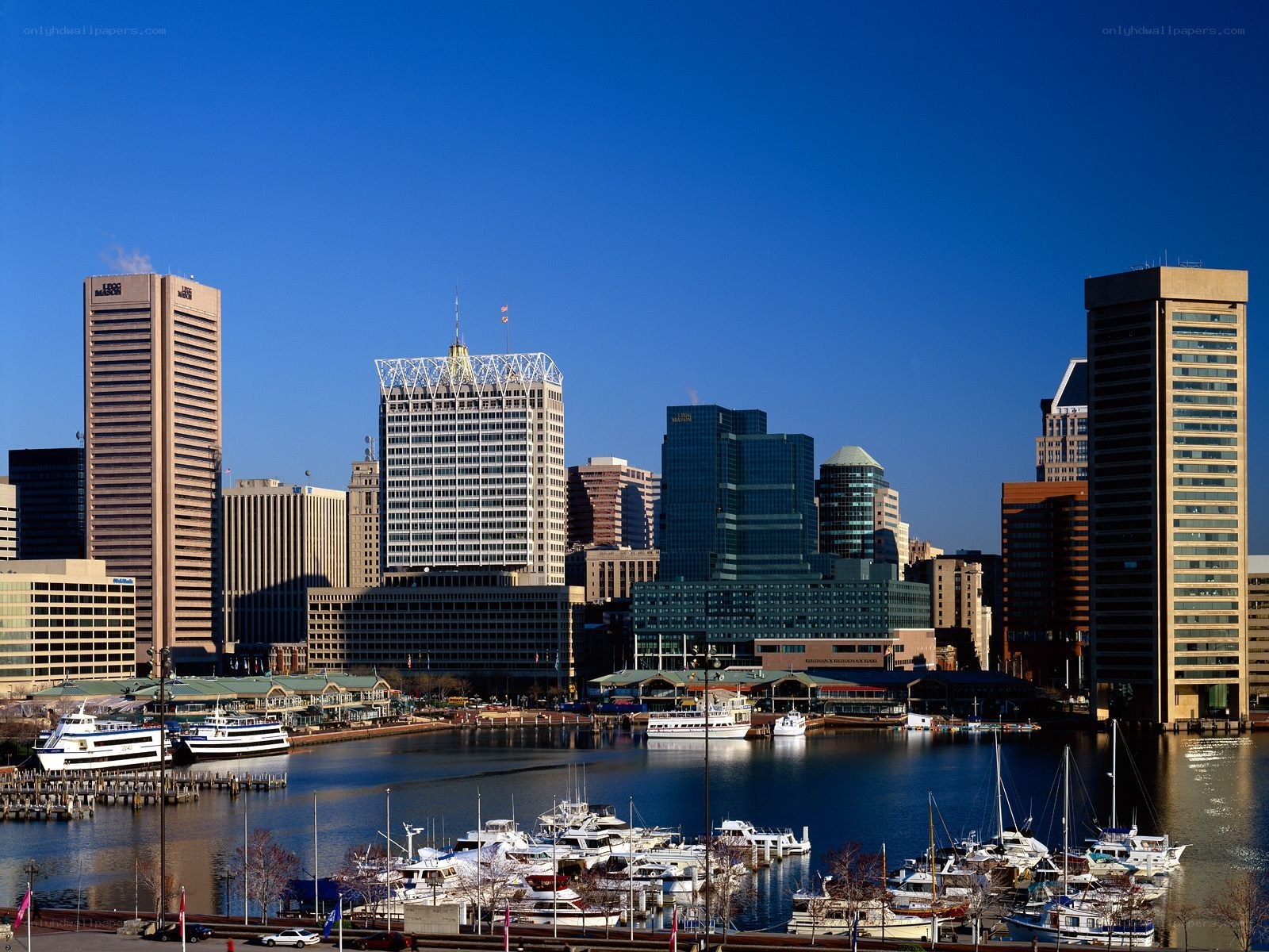 Baltimore skyline with harbor