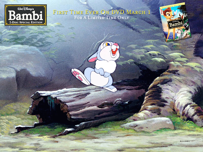 Bambi Rabbit Character