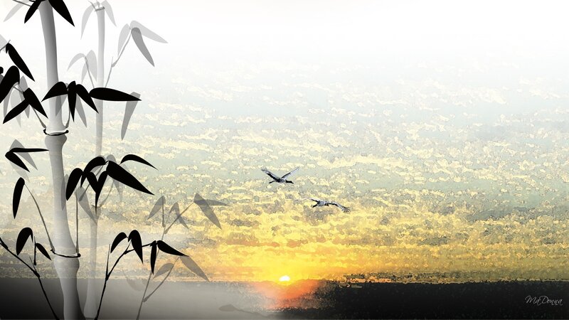Bamboo and Birds at Sunset