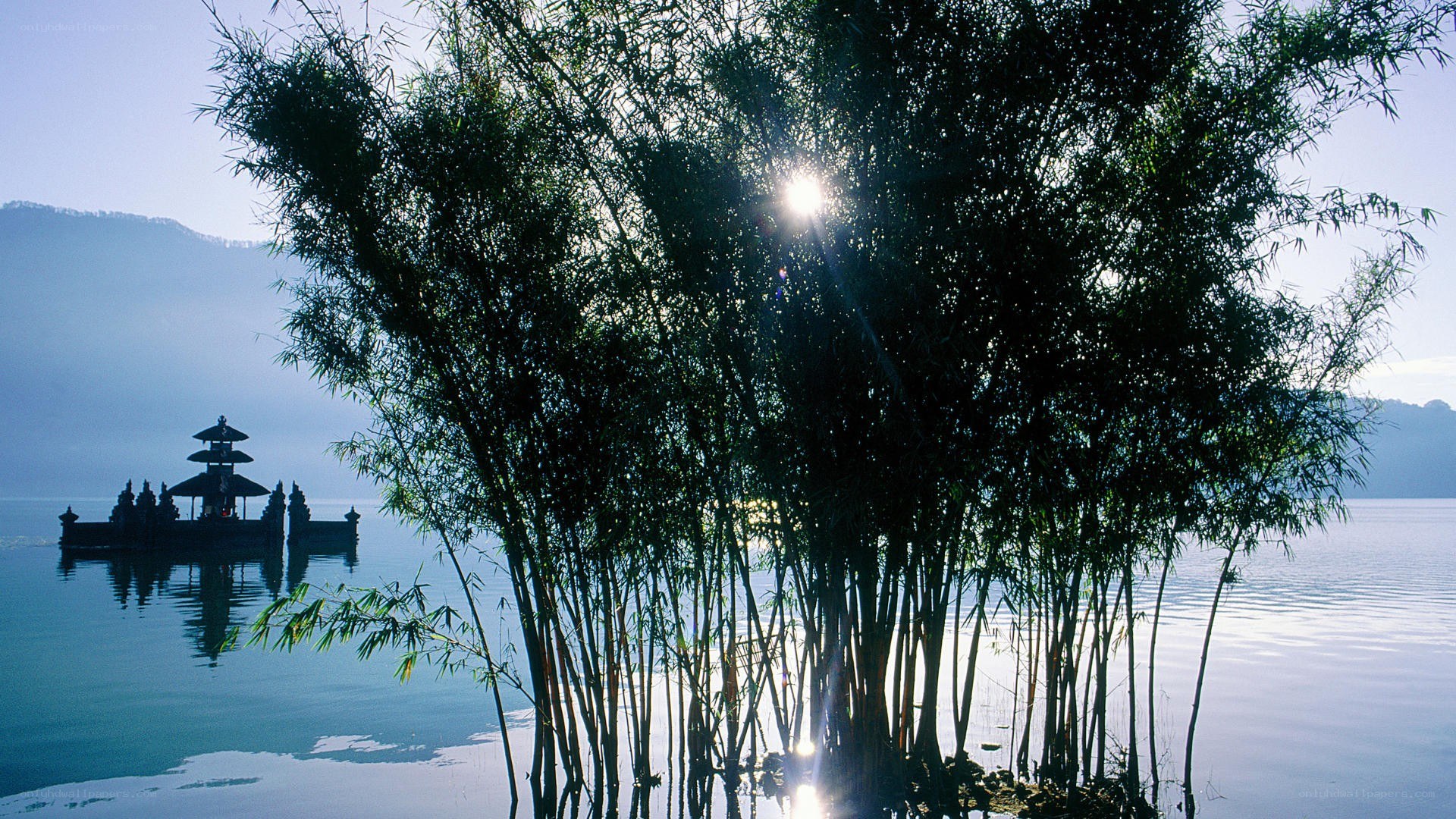 Bamboo and temple on a lake