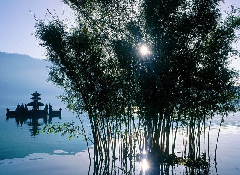 Bamboo and temple on a lake