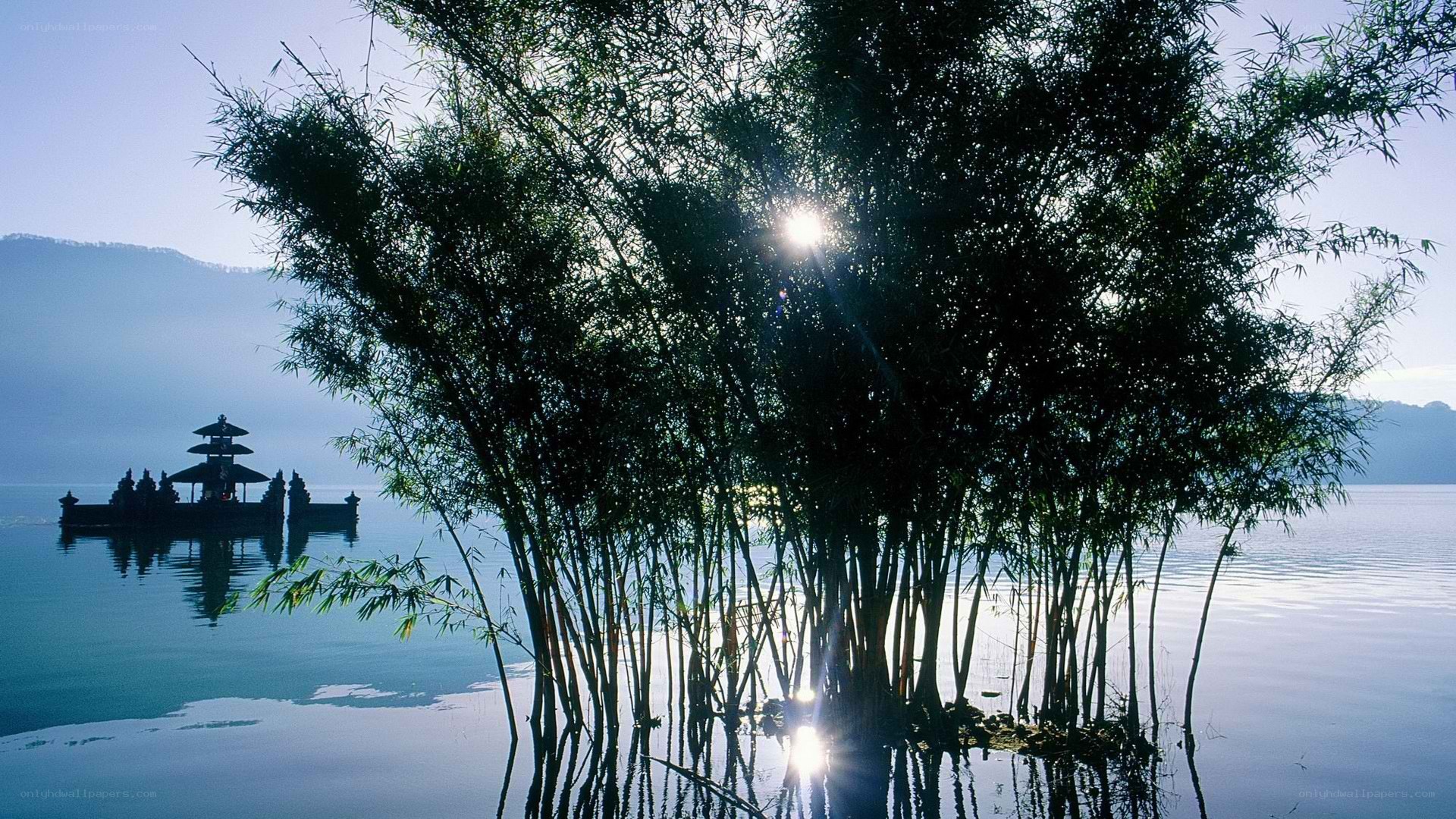 Bamboo and temple on a lake