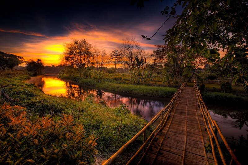 Bamboo Bridge at Sunset