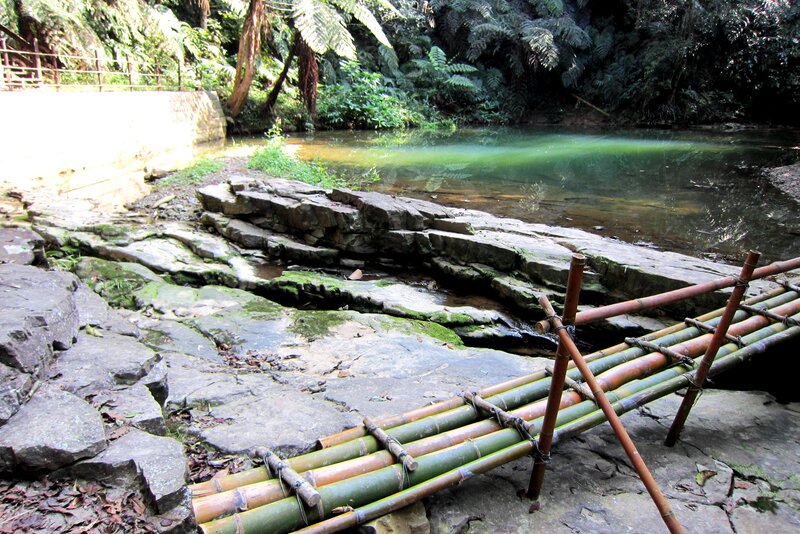 Bamboo Bridge over Stream — Green