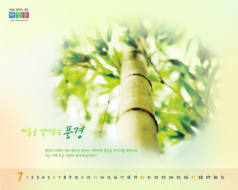 Bamboo calendar page