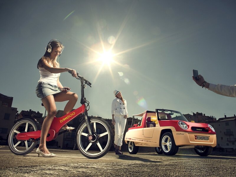 Bamboo electric bike and car